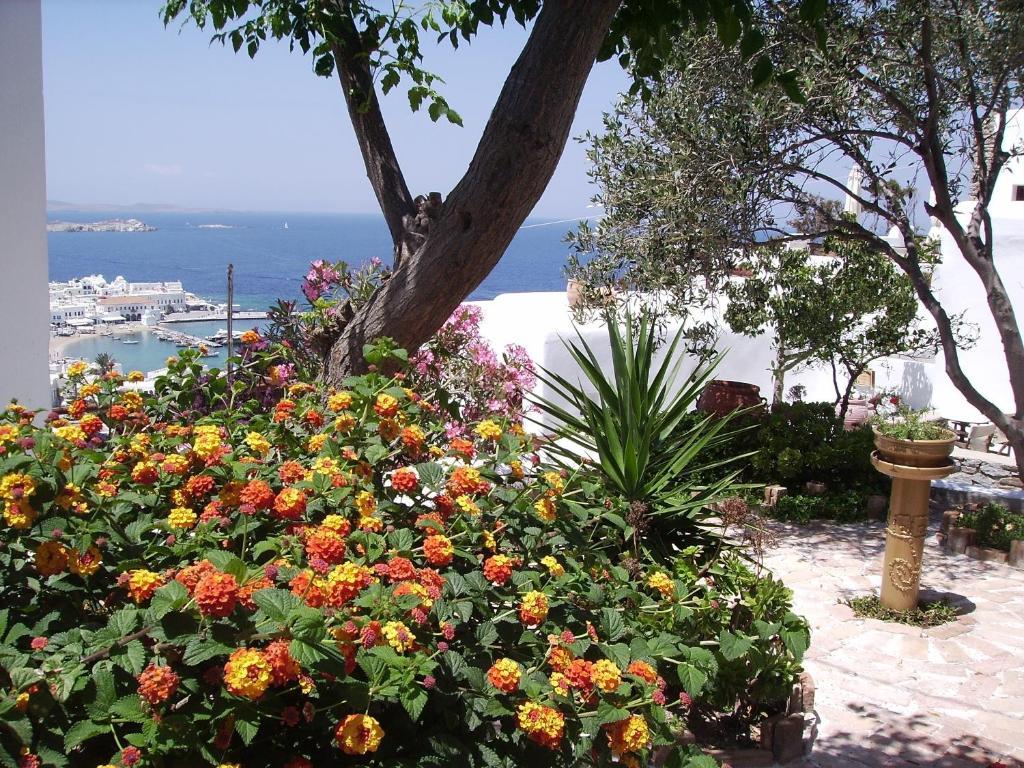 La Veranda Of Mykonos Traditional Guesthouse Mykonos Town 외부 사진